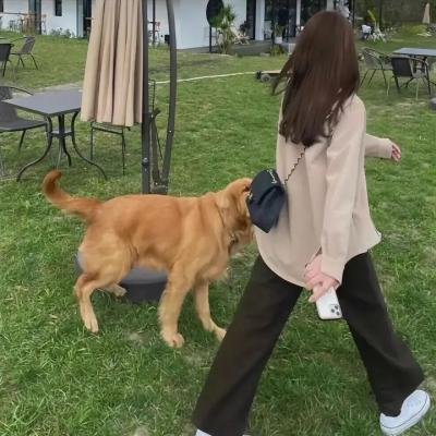 黑袍纠察队第三季 在线观看